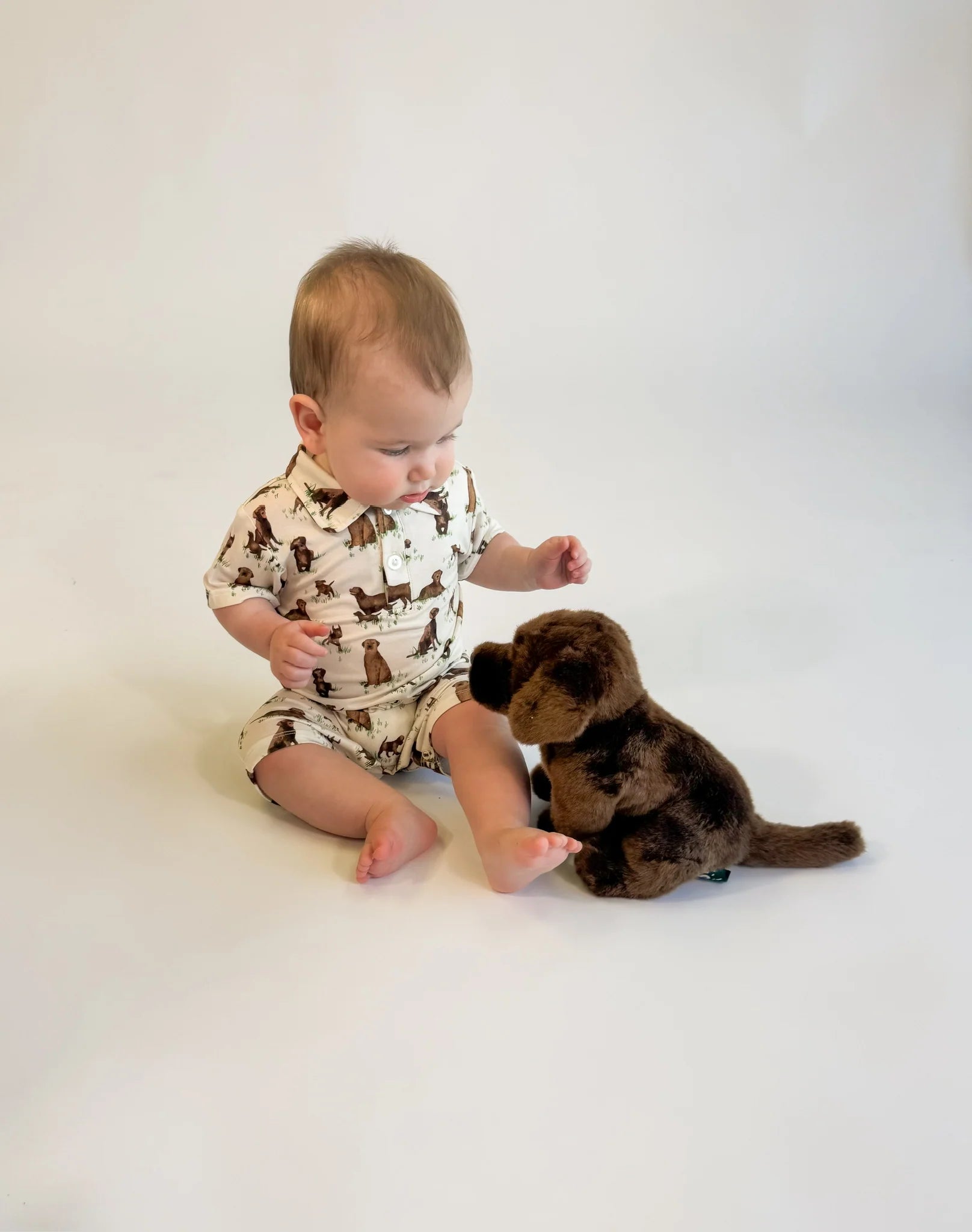 SS Polo Romper - Labradors