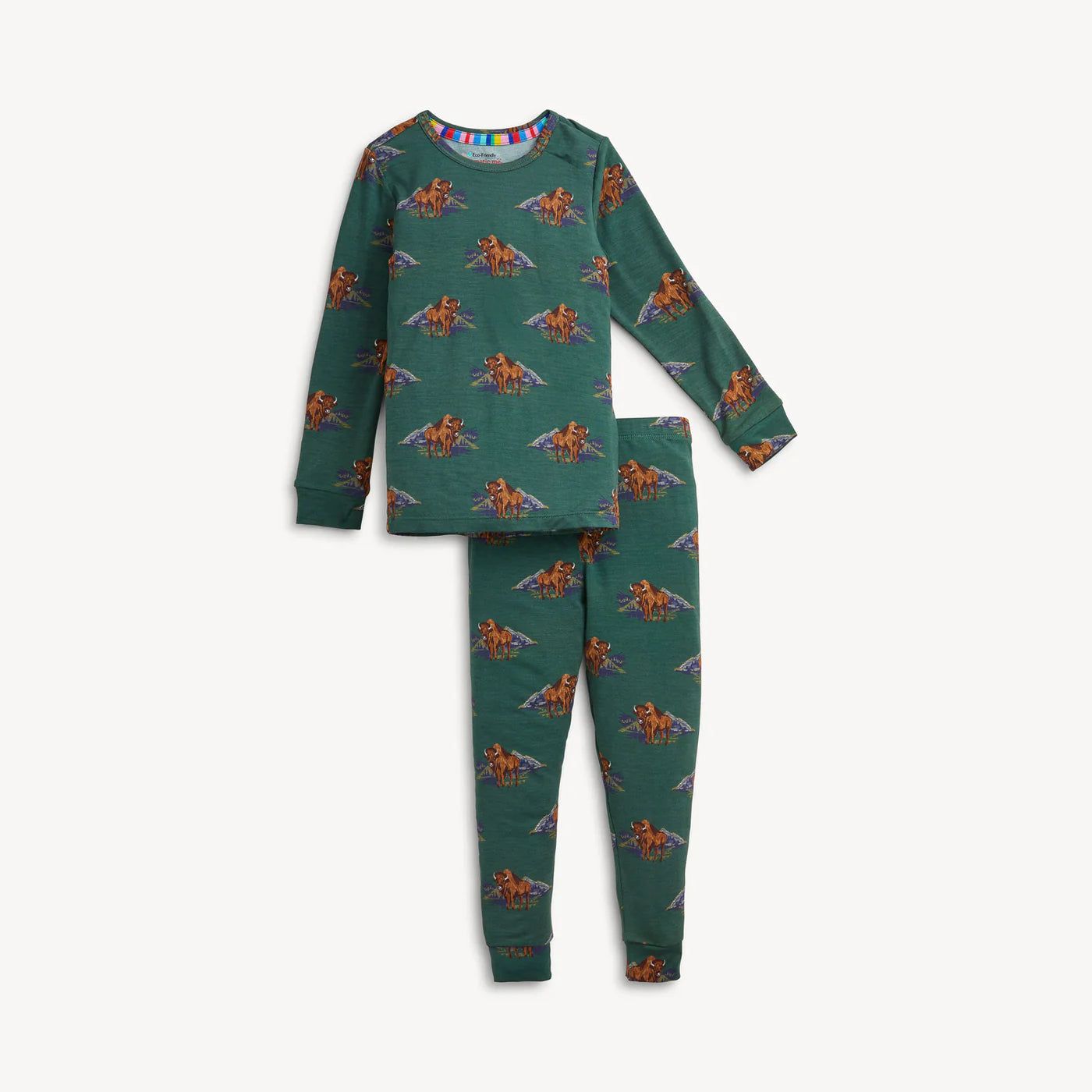 Bison Modal Magnetic PJ Set