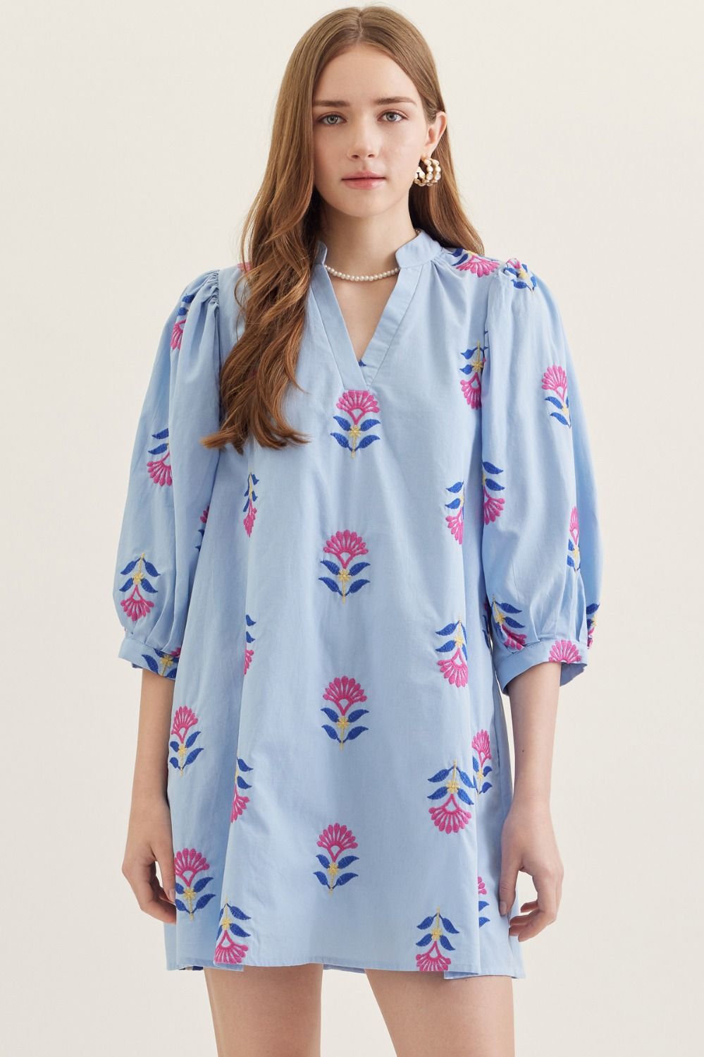Chambray Embroidered Mini Dress